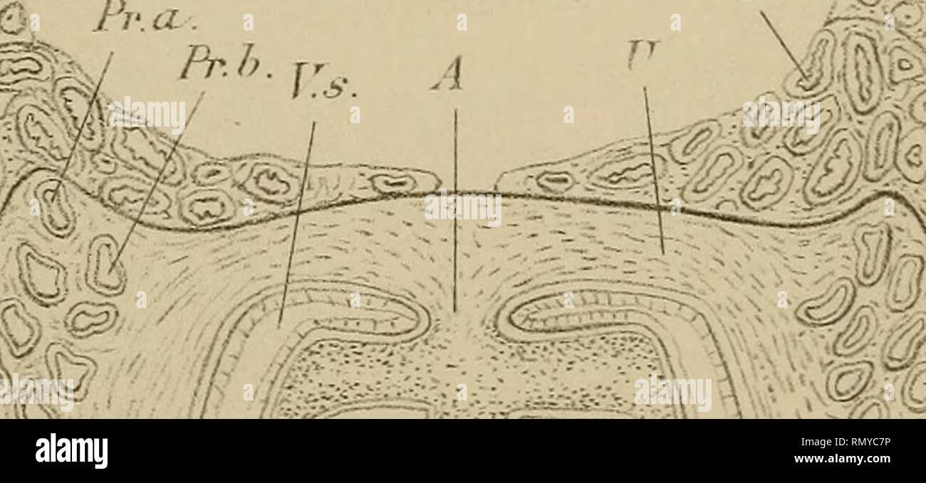S Ic 6 Stock Photos S Ic 6 Stock Images Page 3 Alamy