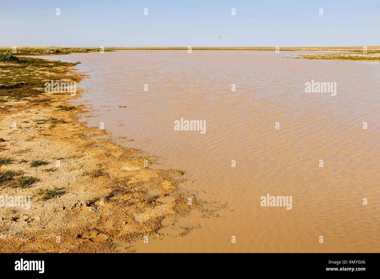 lake with dirty water in the mongolian steppe, Gobi Desert Mongolia