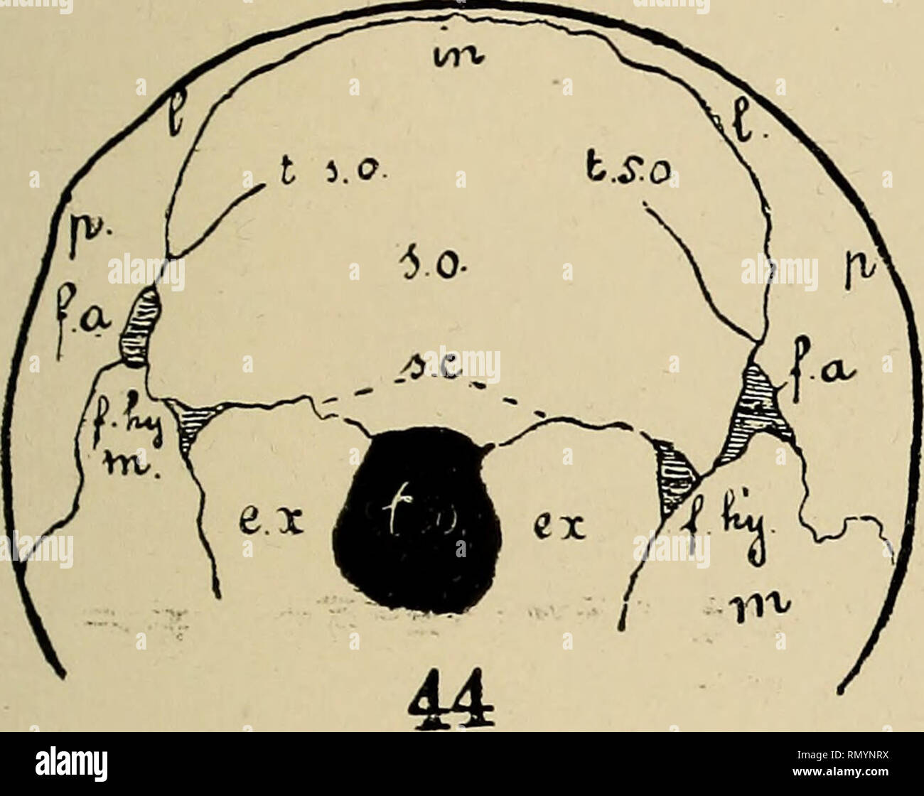 Page 181 H E R High Resolution Stock Photography And Images Alamy