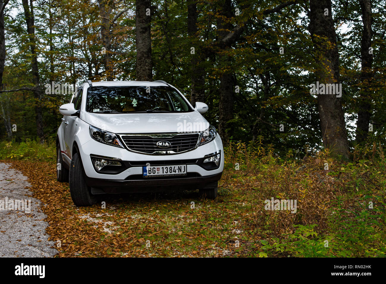 Car Kia Sportage 2 0 Crdi Awd Or 4x4 White Color Near The Road In Forest Stock Photo Alamy