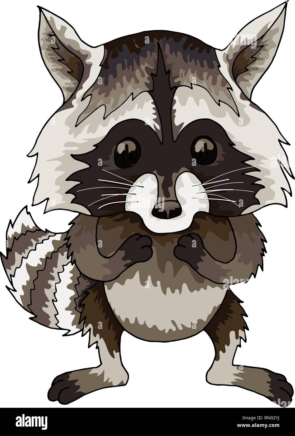Download Cute Racoon Vector Icon On White Background Woodland Animal Clipart Stock Vector Image Art Alamy