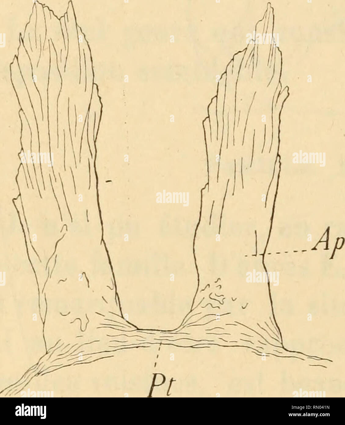 Rg 33 hi-res stock photography and images - Alamy