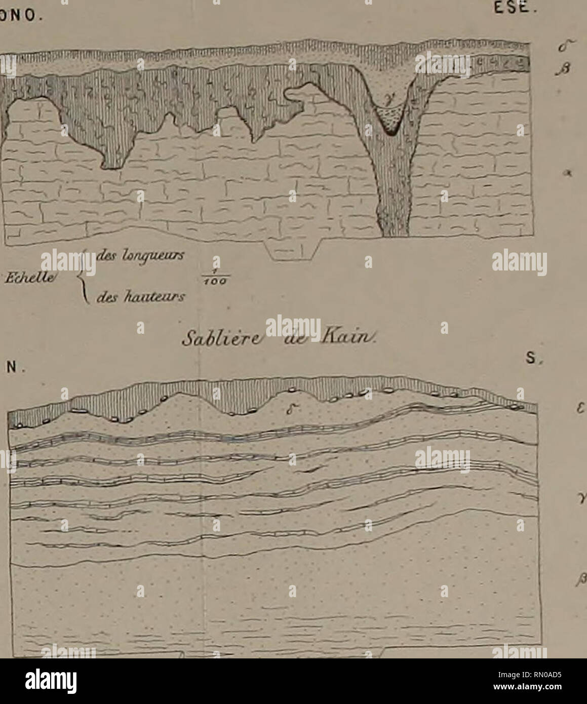 Annales De La Societe Royale Malacologique De Belgique Mollusks Zoology Eaitut H Orientation Des Tome Xix S8it Pi Iv Coupe Du Gt Ameuere Eat Vcrd A Tourna Fy Fia 6 J Des Longueurs