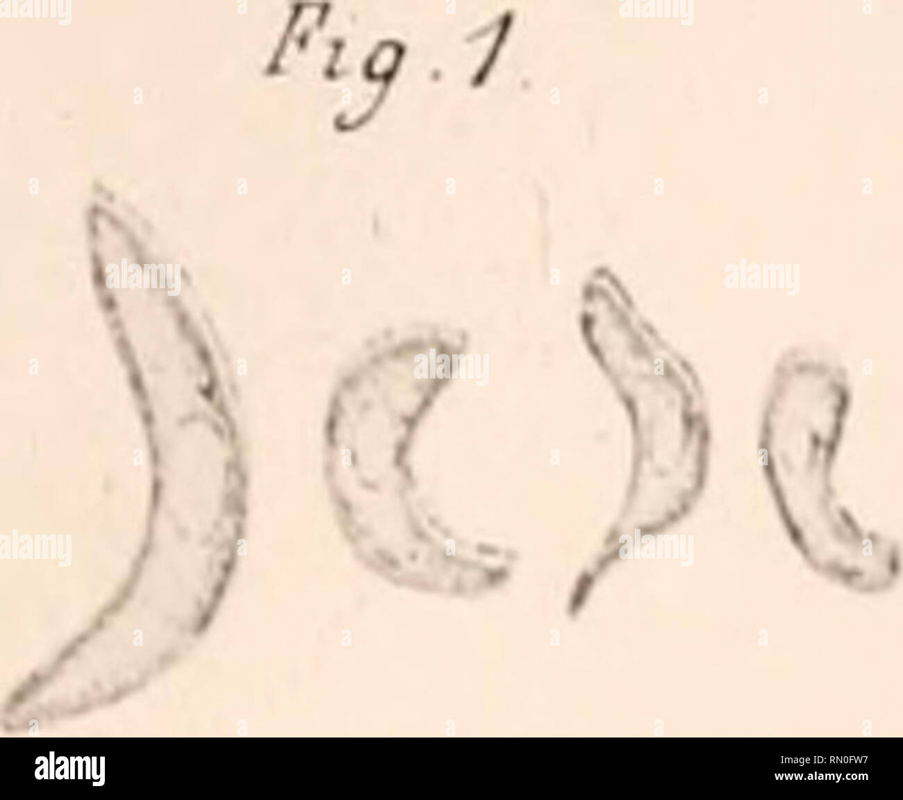 Page 5 4k Images High Resolution Stock Photography And Images Alamy