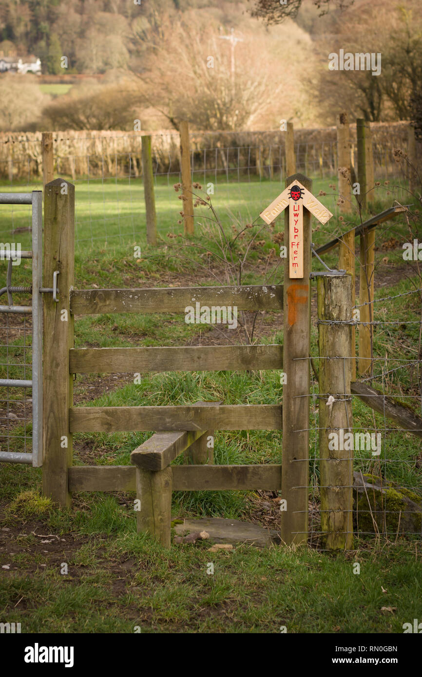 Farm walk gate and stile at the Rhug Estate in Corwen North Wales the