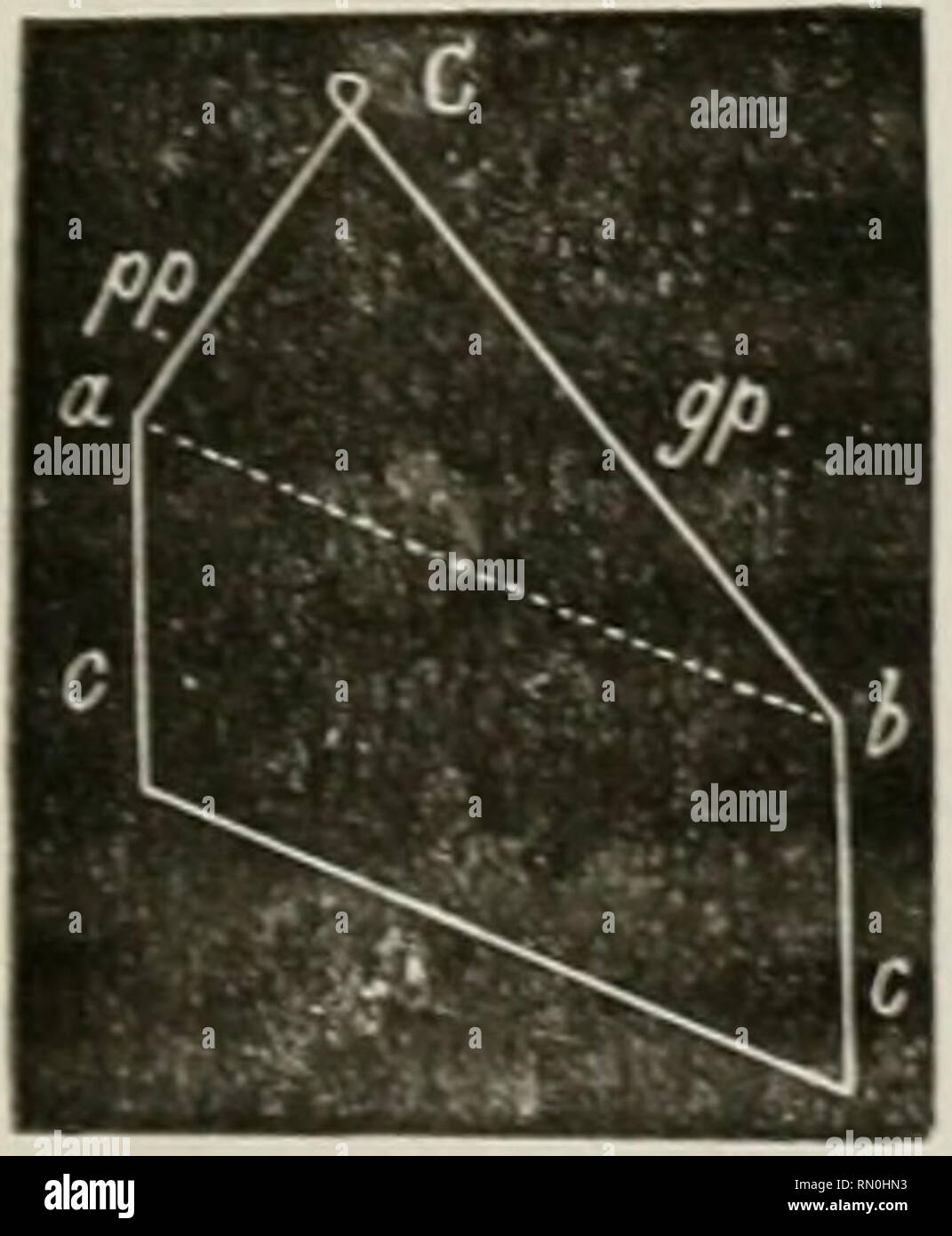 . Annales de la Socit belge de microscopie. Microscopy. . Please note that these images are extracted from scanned page images that may have been digitally enhanced for readability - coloration and appearance of these illustrations may not perfectly resemble the original work.. Socit belge de microscopie. Bruxelles : H. Manceaux Stock Photo