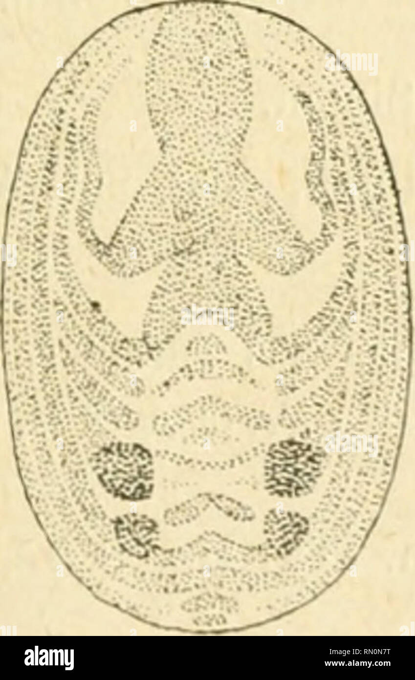 Lewistown Black Men's Oxfords \u0026 Lace-ups, image size:849x1390