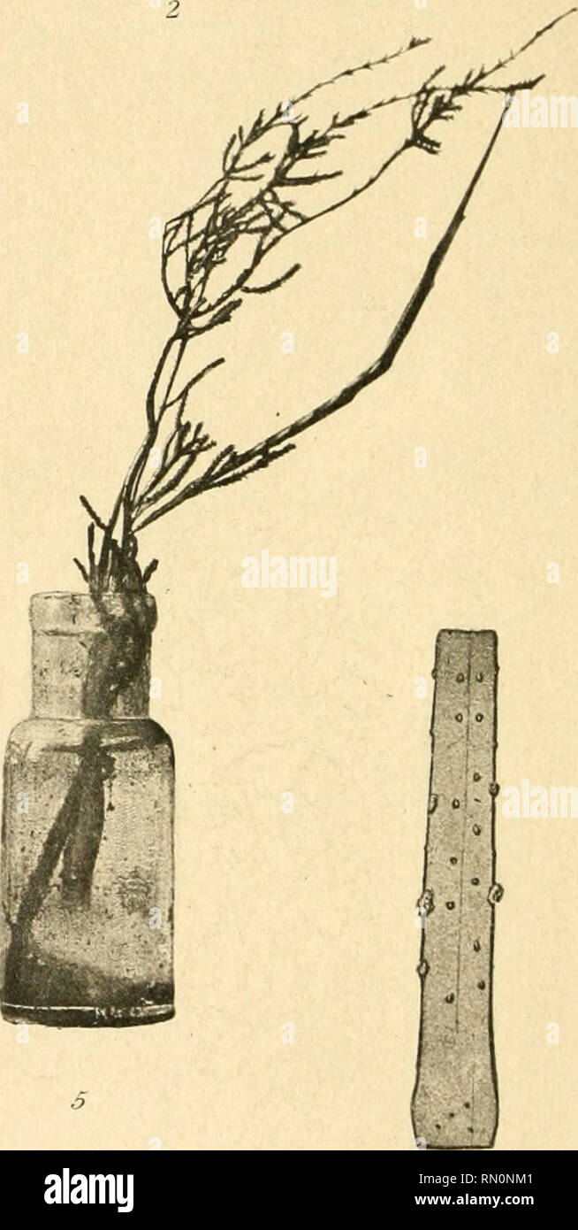 Photi High Resolution Stock Photography And Images Alamy