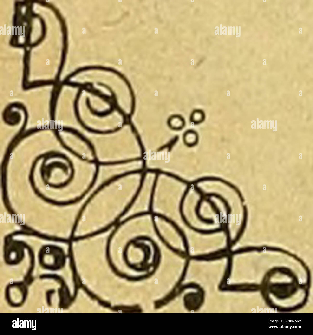 Raffray High Resolution Stock Photography And Images Alamy