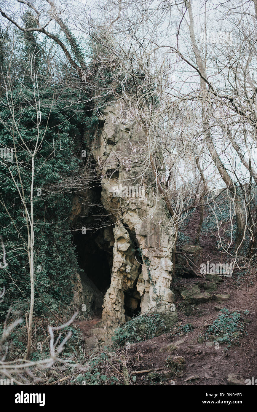 Creswell Crags valley in Nottinghamshire Stock Photo Alamy