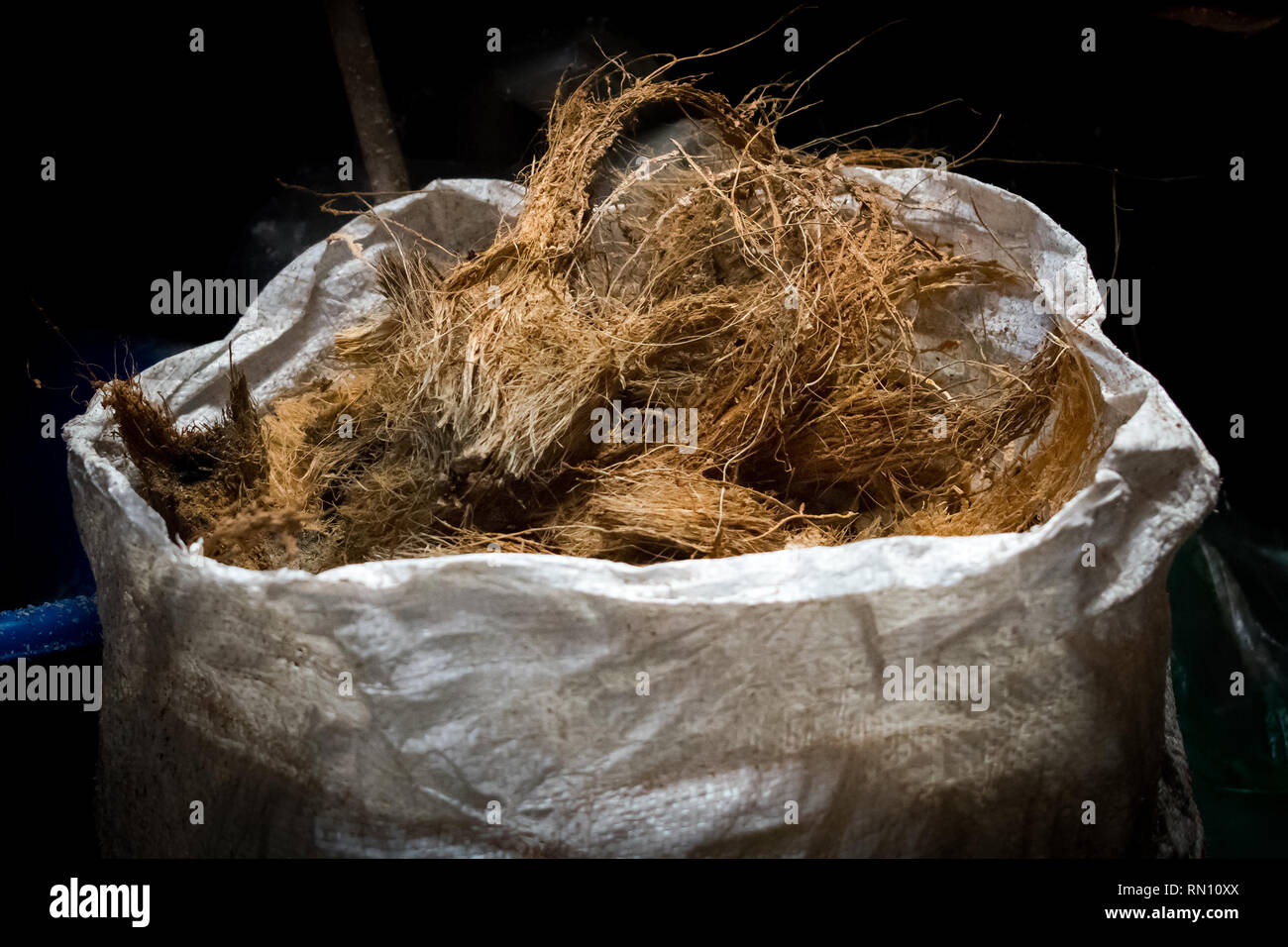 Coco fruit husks hires stock photography and images Alamy
