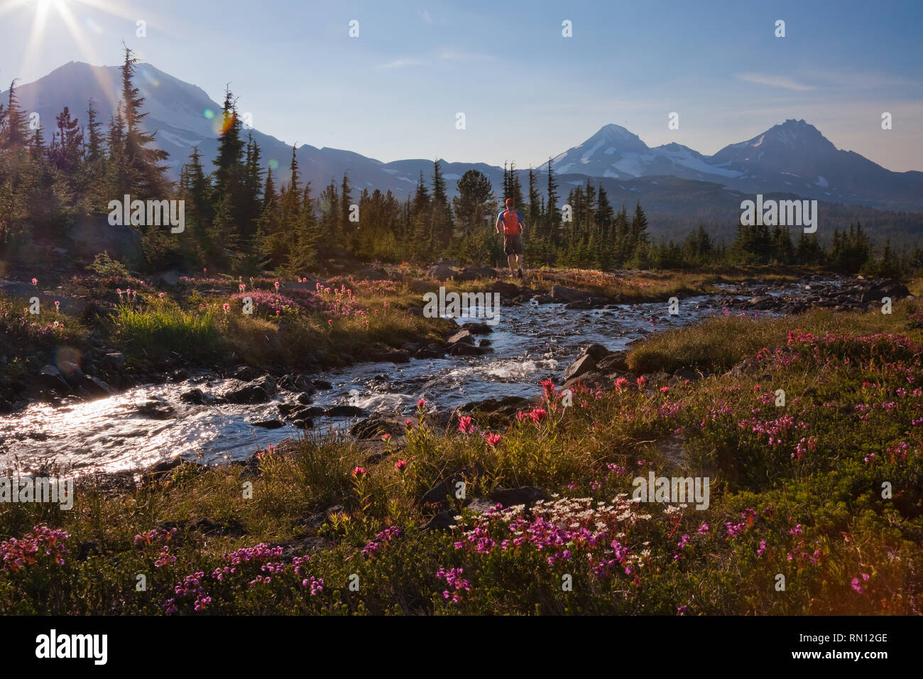 Summer Hiking in the Three Sisters Wilderness Area near Bend Oregon Stock Photo Alamy