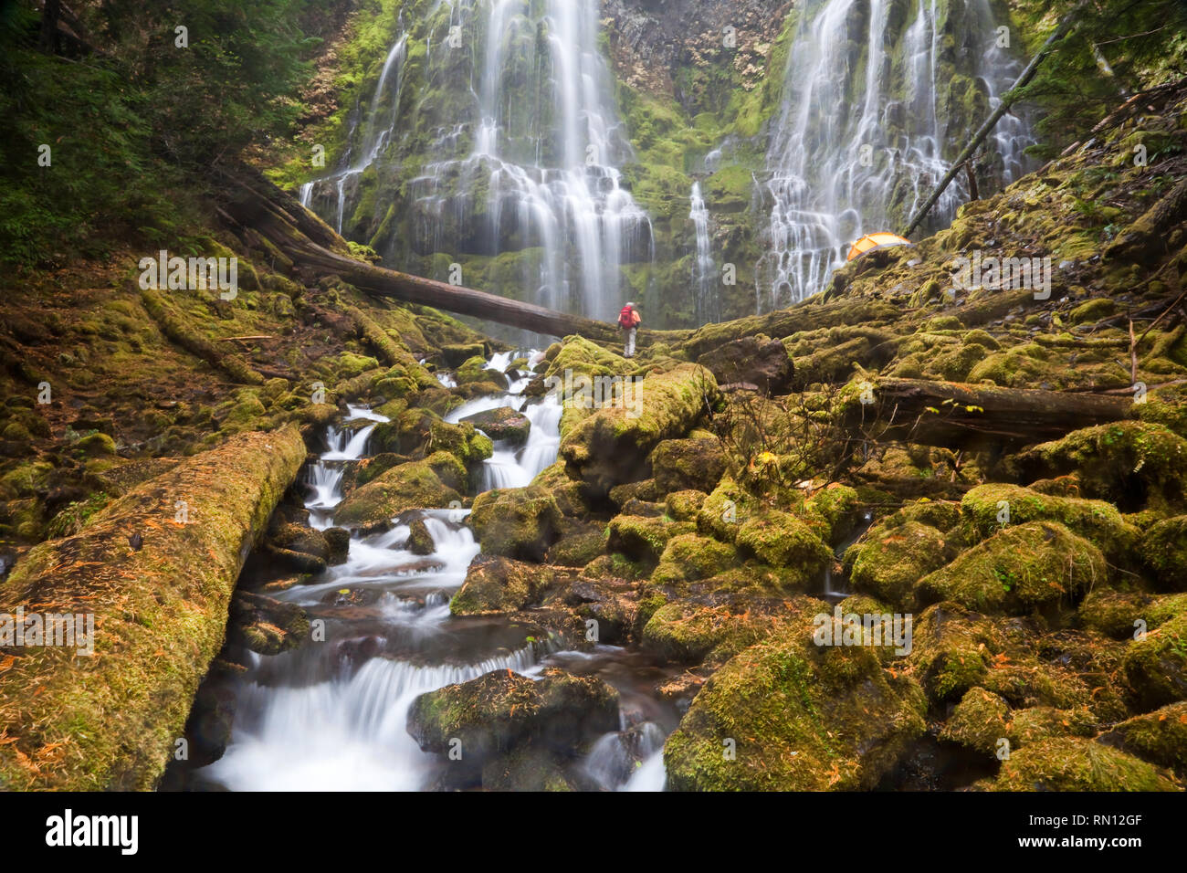 Hiker and Tent at Proxy Falls in Lane County Oregon Stock Photo