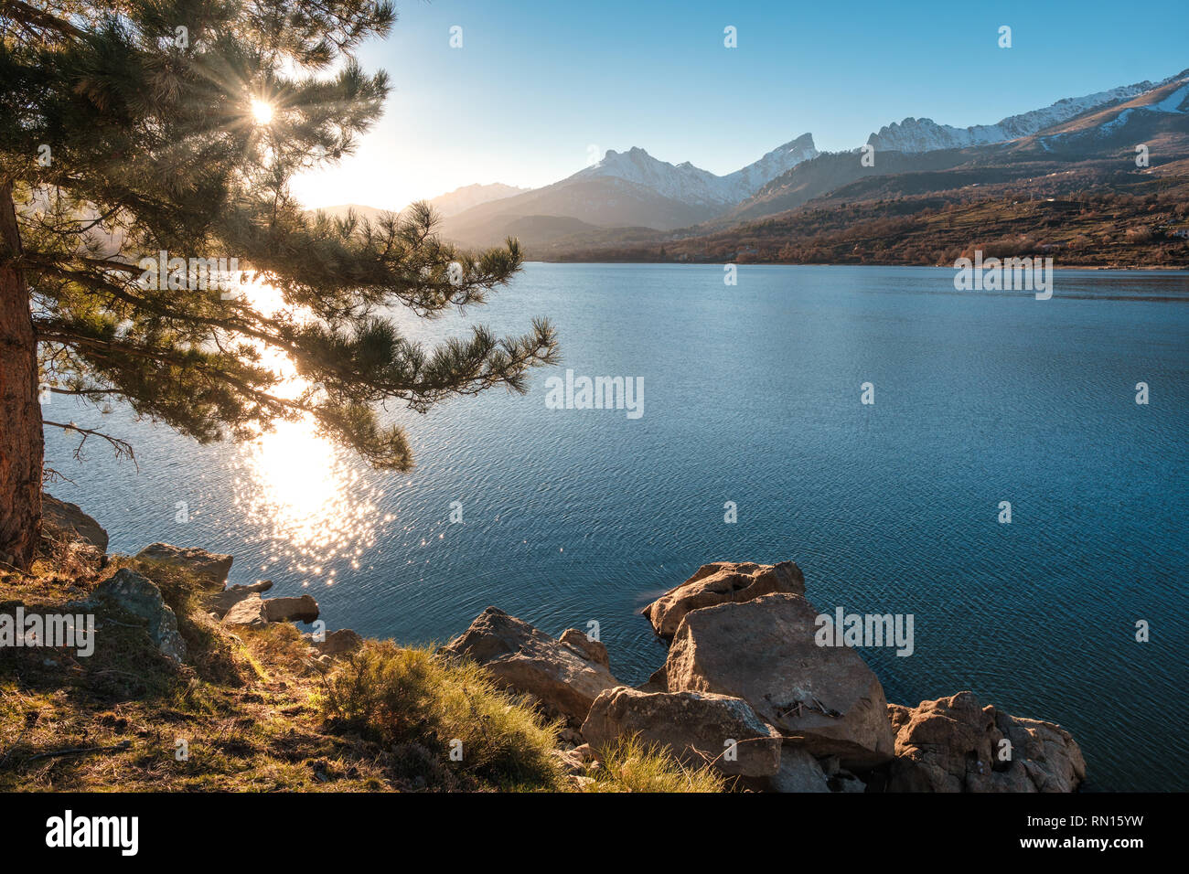 Late afternoon sunshine filtering through a pine tree on the banks of Lake Calacuccia in Corsica with snow capped Paglia Orba mountain in the distance Stock Photo