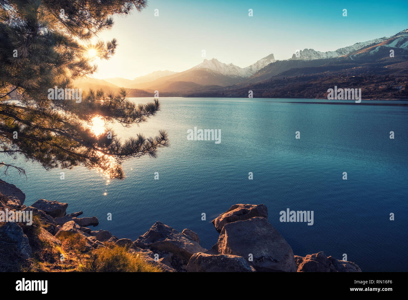 Late afternoon sunshine filtering through a pine tree on the banks of Lake Calacuccia in Corsica with snow capped Paglia Orba mountain in the distance Stock Photo