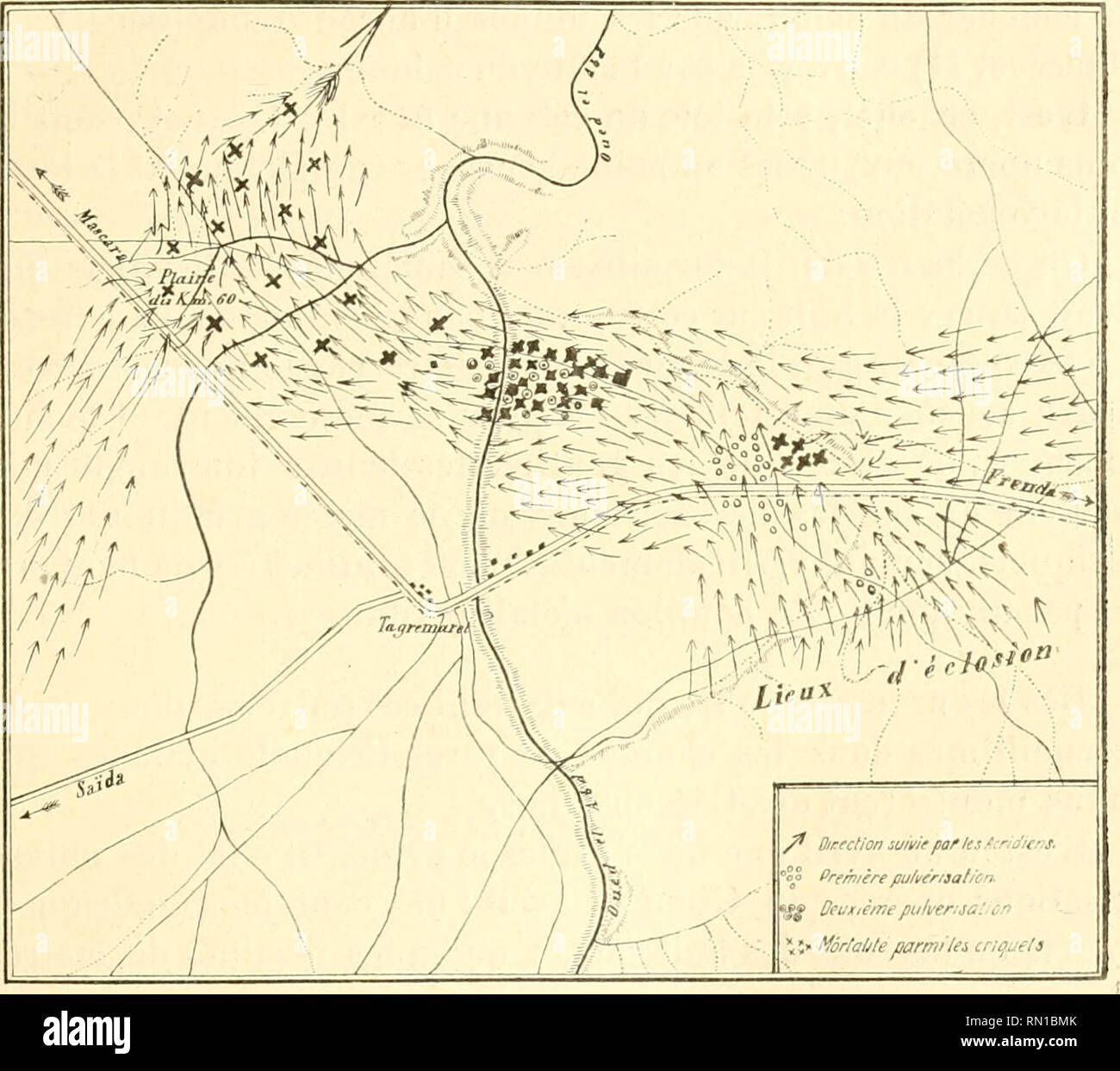 . Annales de l'Institut Pasteur. Science; Allergy and Immunology; Medicine; Microbiology. ESSAI DE DESTRUCTION DES SAUTERELLES EiN ALGÉRIE 415 2° Essais en plein champ. Les essais de contamination des taches de Criquets ont eu lieu dans la plaine de Tagremaret, sur les Hauts-Plateaux Oranais, en avril-juillet 1912. Les jeunes Criquets nés dans des. Échellf^ nu 1 125.000 collines pierreuses au sud de celte plaine descendirent vers elle par petites étapes et en petites colonnes. Ils ne gagnaient sou- vent pas plus de 30 mètres par jour en avril, quelquefois 100 ou 200 mètres, se nourrissant de l Stock Photo