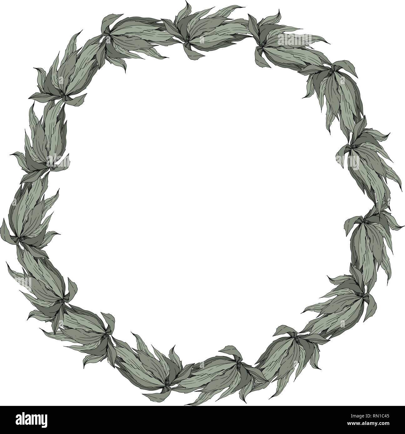 Vector Jungle botanical succulent flower. Engraved ink art illustration. Frame border ornament square. Stock Vector