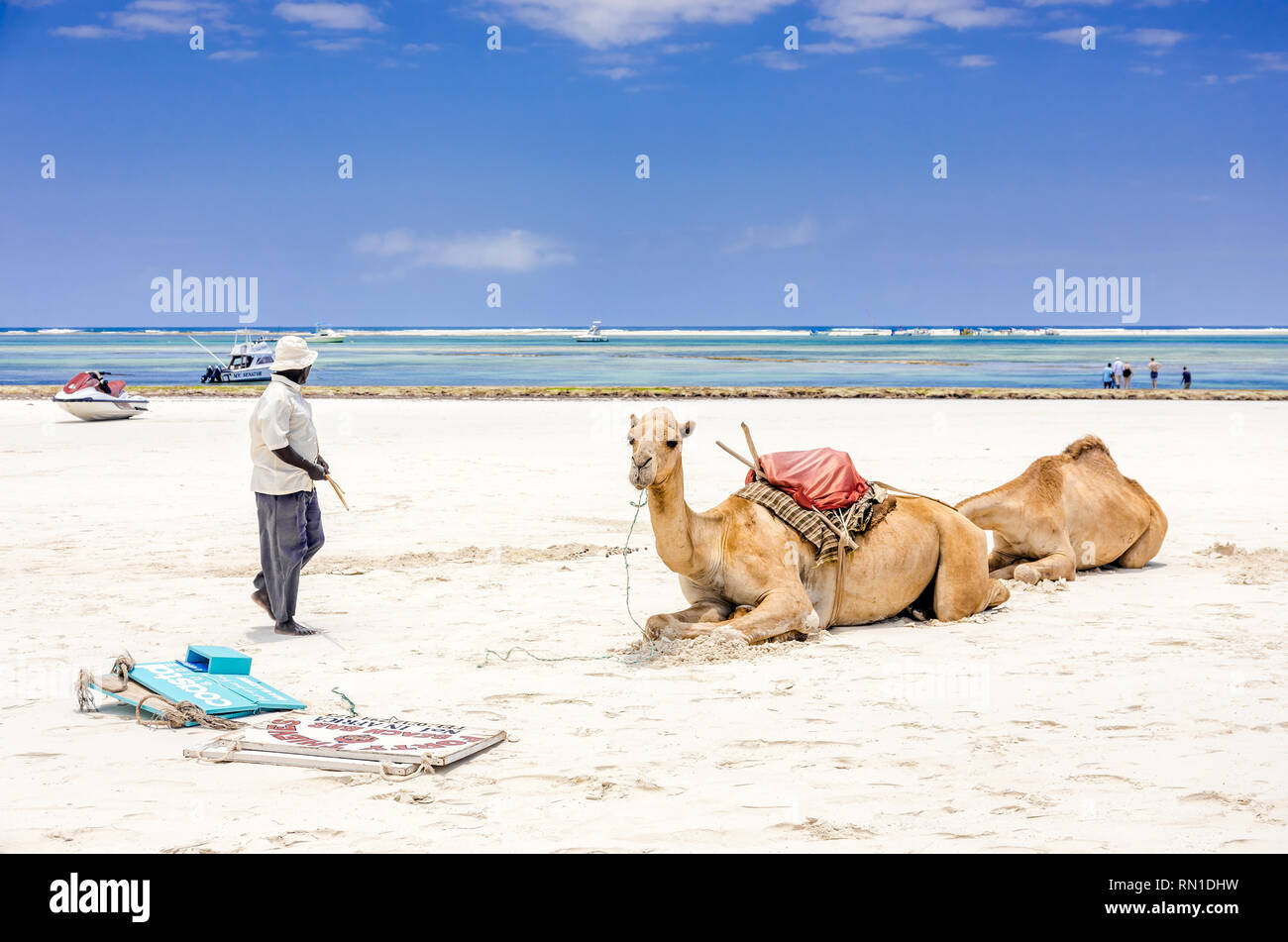 DIANI BEACH, KENYA - OCTOBER 10, 2018: Native african man, his camels and Diani beach seascape, Kenya Stock Photo
