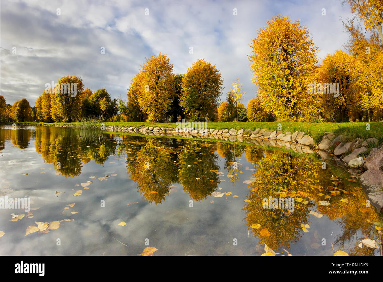 Barockparken (Barock park) artificial lake and floating foliage waterscape scenery with warm-coloured birch tree foliage. Upplands Vasby, Sweden Stock Photo