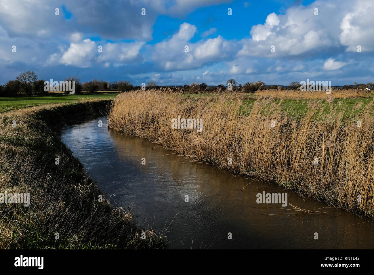 A Small Stream Winds Its Way Through The English Countryside With Sunny Blue Sky And White Fluffy Clouds The Banks Are Lied With Reeds Stock Photo Alamy