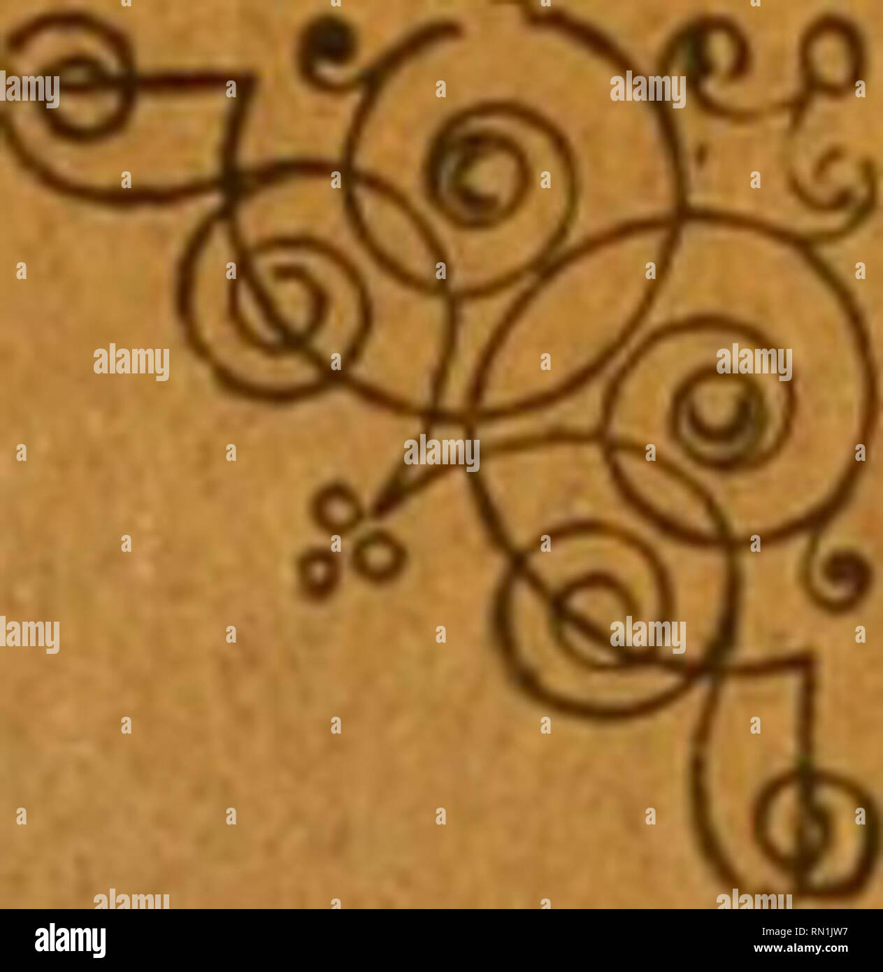 Page 7 Lxxv High Resolution Stock Photography And Images Alamy Page 7 Lxxv High Resolution Stock Photography And Images Alamy