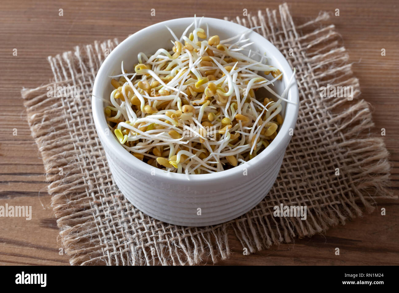 Sprouted fenugreek seeds in a bowl Stock Photo