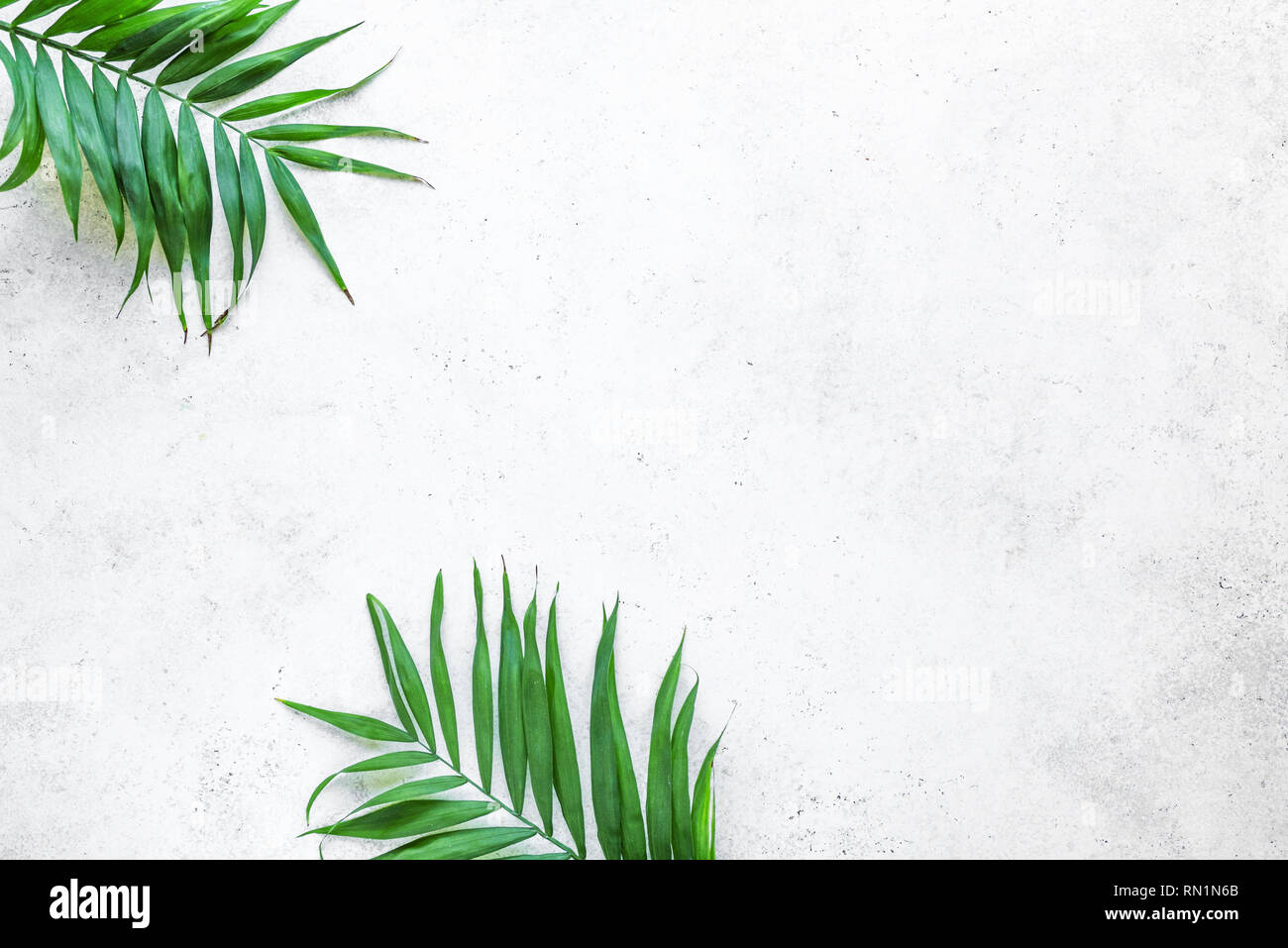 Summer tropical palm leaves flat lay on white background with copy ...