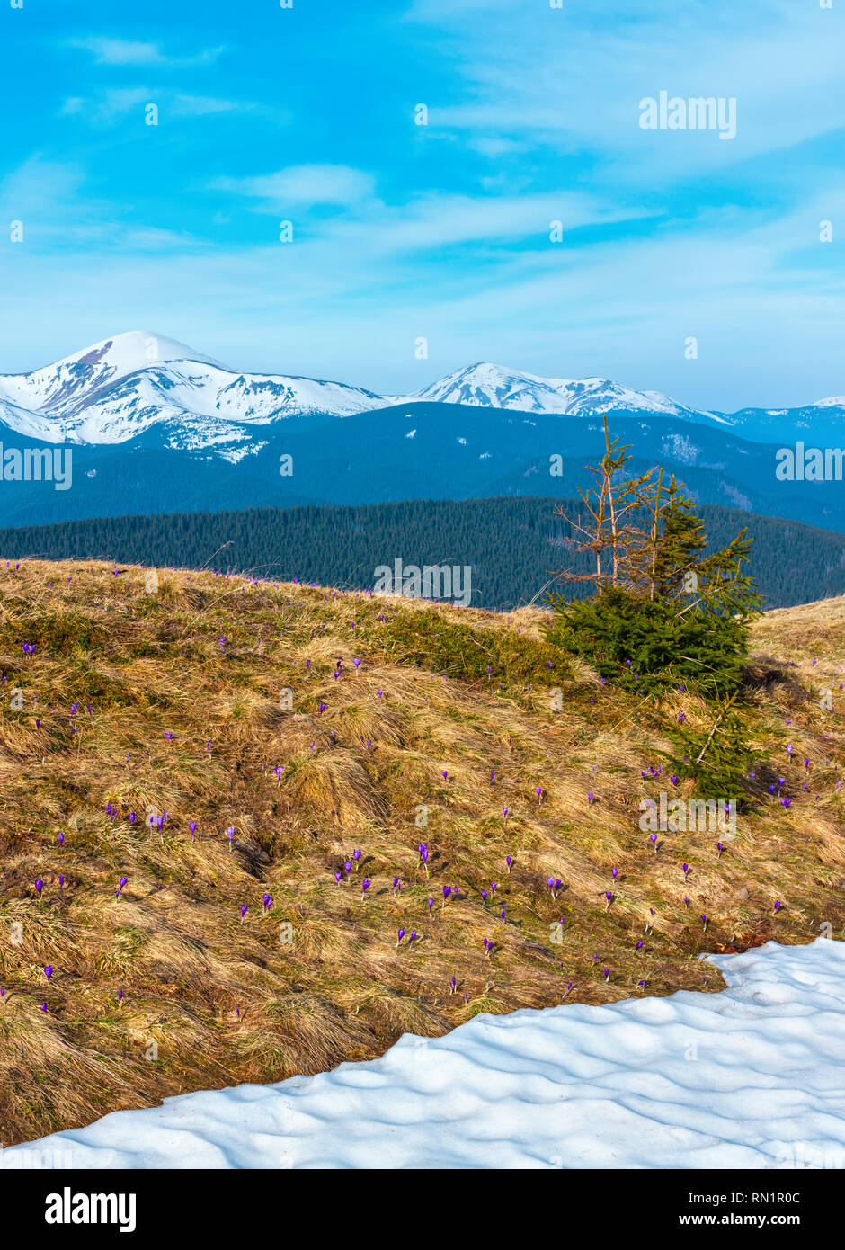 Composite landscape high wild grass hi-res stock photography and images ...