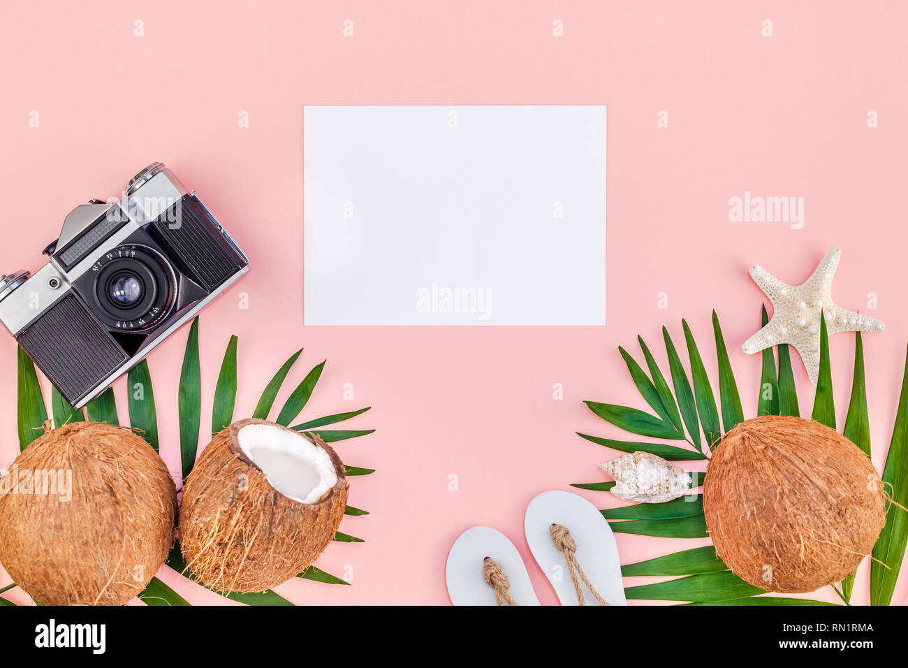 Creative flat lay top view mock up green tropical palm leaves coconuts ...