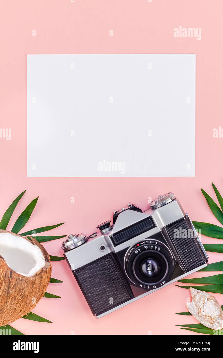 Creative flat lay top view mock up green tropical palm leaves coconuts ...