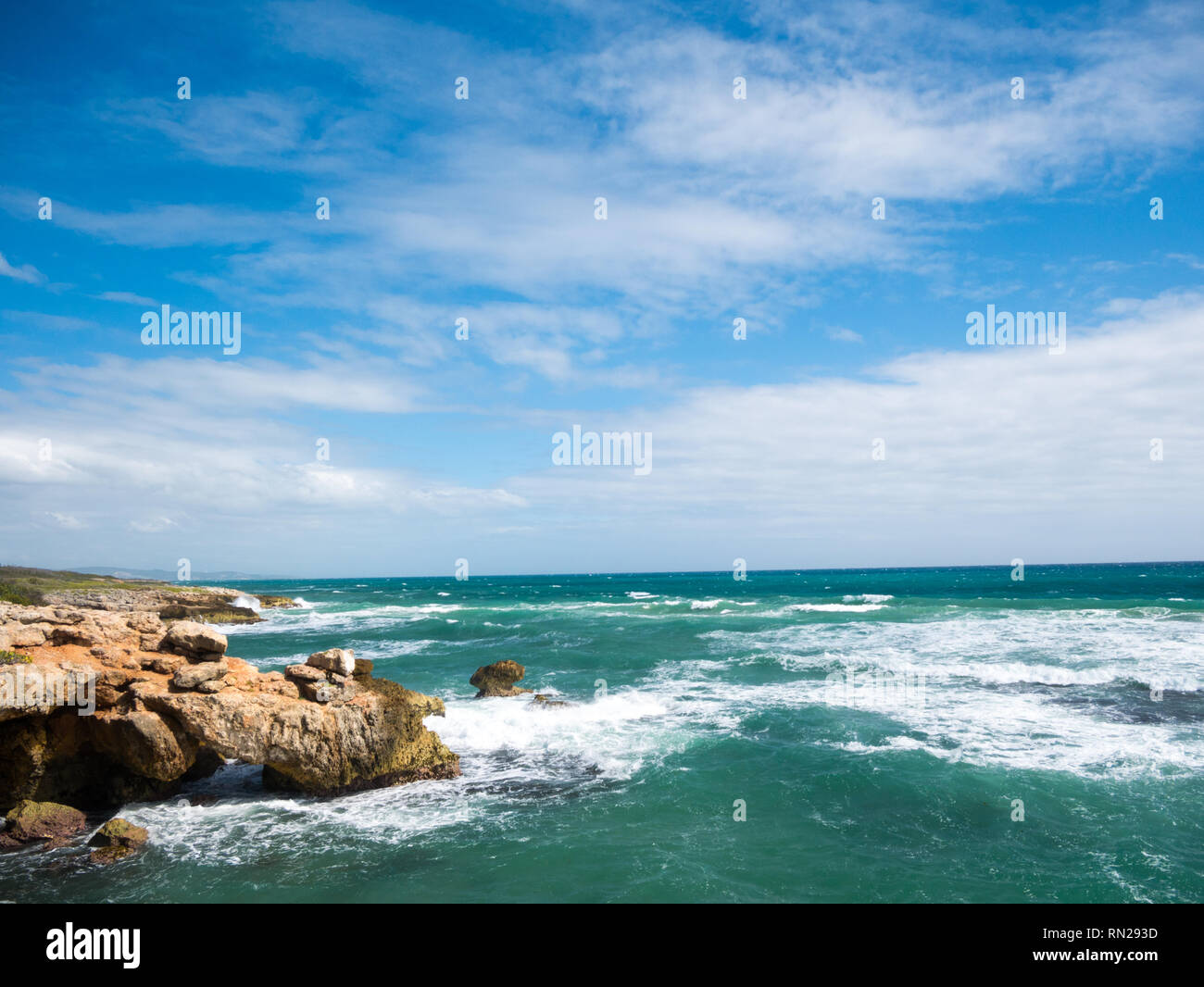 The Caribbean coastline at Guanica Dry Forest Reserve Puerto Rico