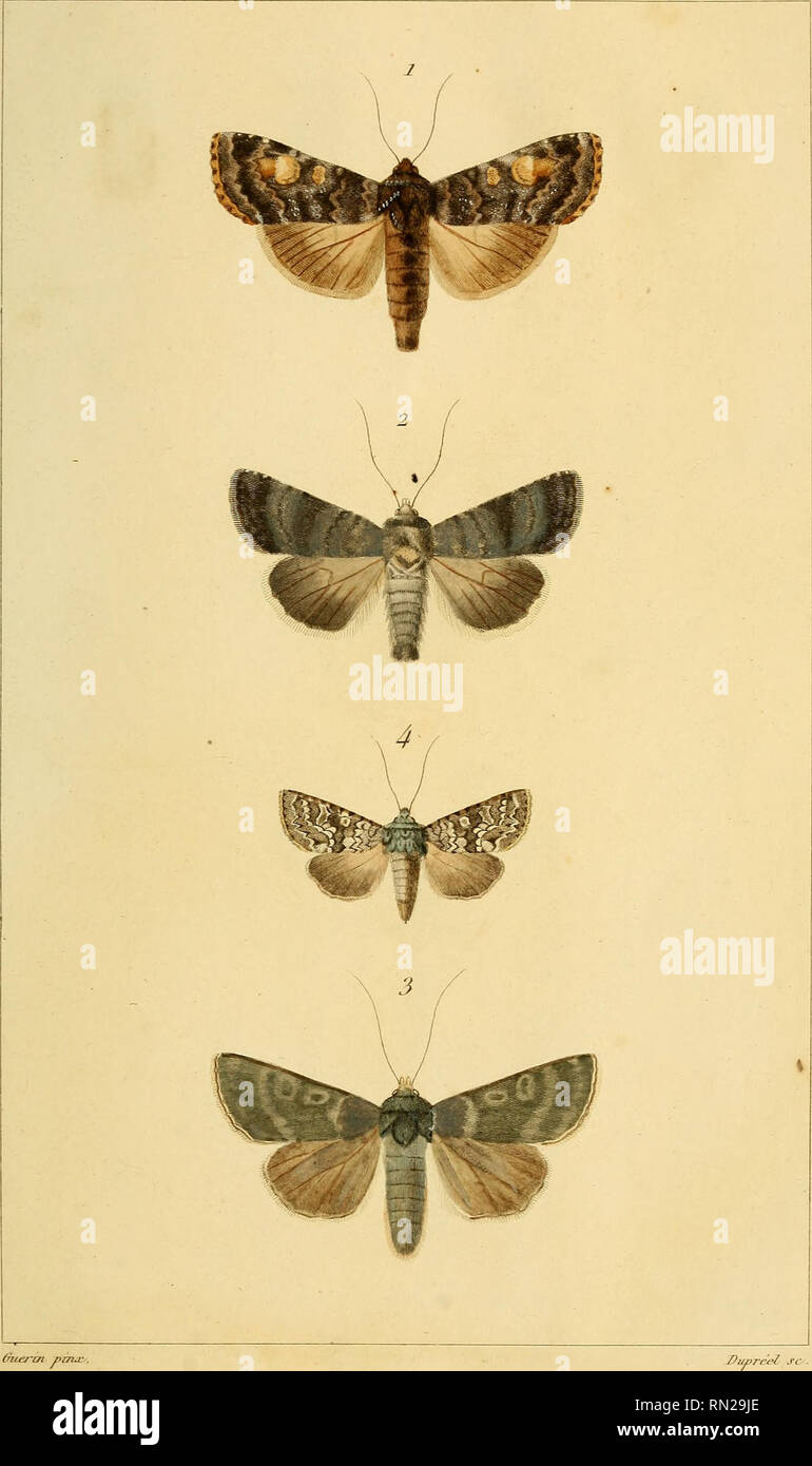 Tu E Stock Photos Tu E Stock Images Page 6 Alamy