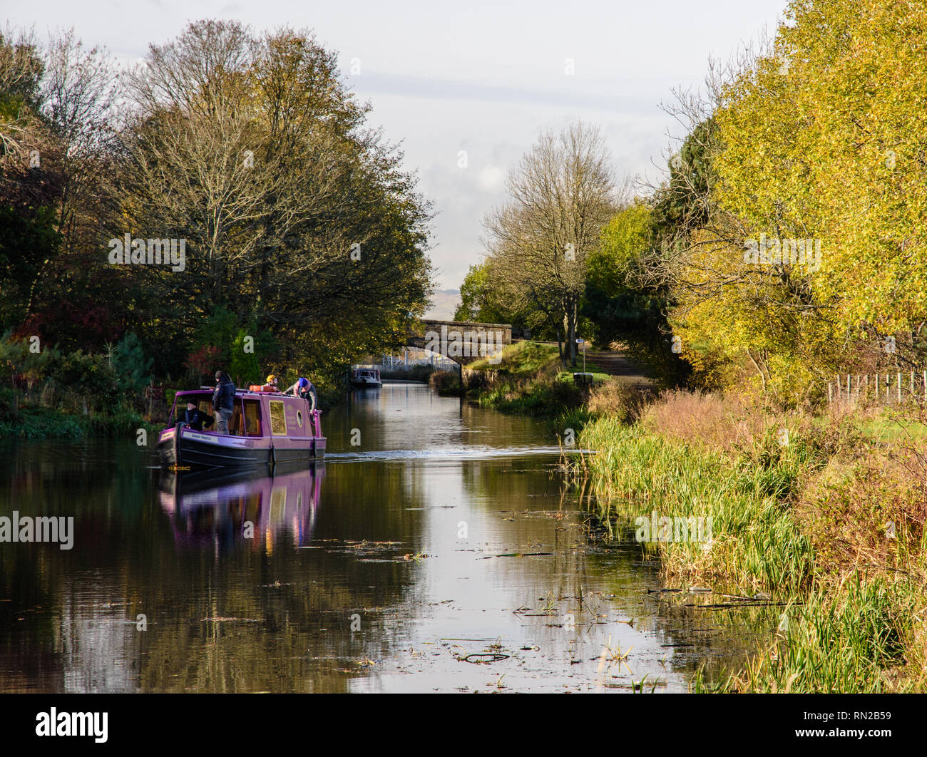 Falkirk, Scotland, UK - November 2, 2018: A traditional canal boat is sailed along the Union Canal between trees displaying autumn colours at Falkirk  Stock Photo
