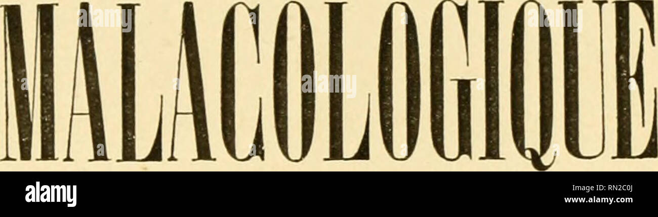 186s High Resolution Stock Photography And Images Alamy