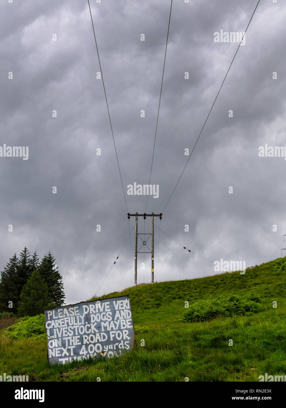 Oban, Scotland, UK - June 22, 2014: A sign in a pasture field asks drivers to be careful of livestock, under power lines leading from Cruachan power s Stock Photo