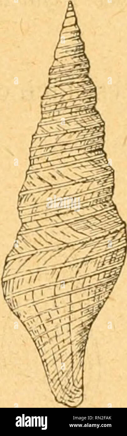 Icrr High Resolution Stock Photography And Images Alamy
