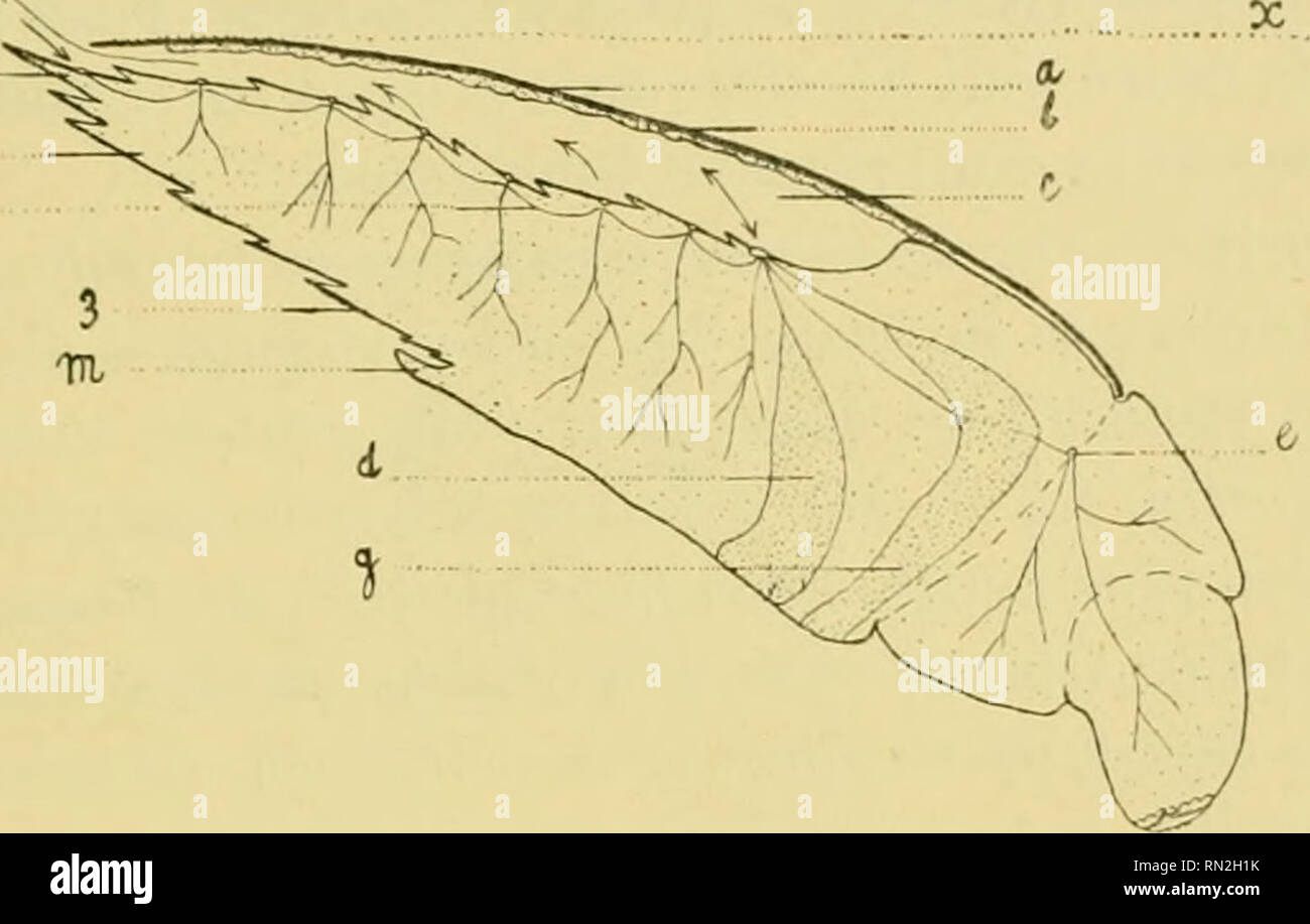 Incom E High Resolution Stock Photography And Images Alamy
