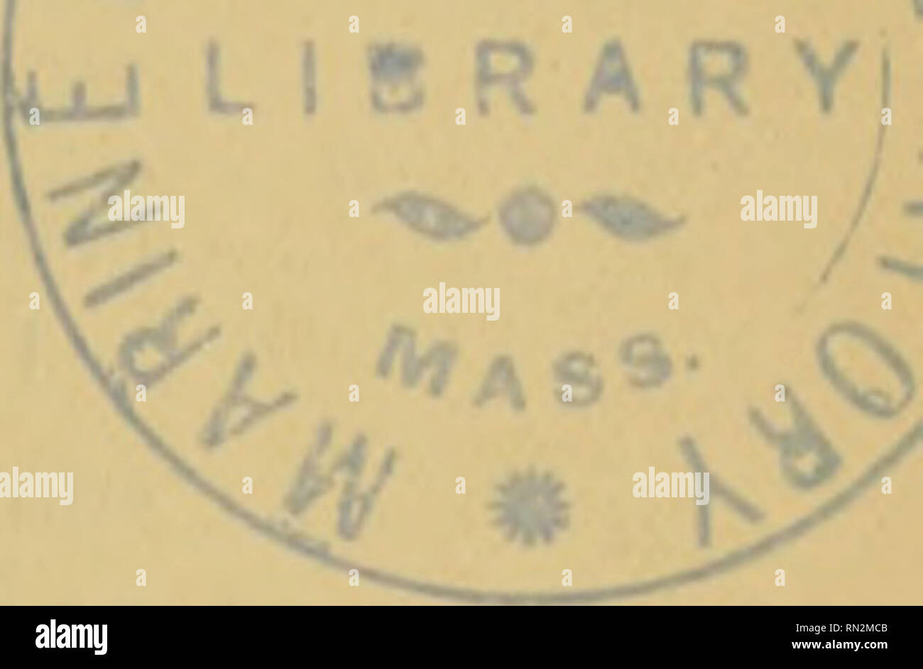 . Annales de biologie lacustre. Natural history; Freshwater animals; Freshwater plants; Lakes. .. I 21, •2: 25. 26. 27. 28. 29. 30. 31. 32. 33. 34. 35. 36. 37. 38. 39. K). 41. 12. 43. 11. 15. K». 17. 48. 49. 50. Proaies decipiens Ehr. » petromyzon Ehr. Furcidaria forpcula Ehr. Rattulus spec. Coelopus taenia)- Gosse. porcellus Gosse. Polychaetus subquadratus Pertj. Dinocharis pocillum Ehr. Salpina spinigera Ehr. Euchlanis défiera. macrura Ehr. pyriformis Gosse. Gatypna luna Ehr. Distyla Gissensis Eckstein. Ludwigii Eckstein. Colurus bicuspidaius Ehr. Monostyla lunaris Ehr. Metopidia solidus Go Stock Photo