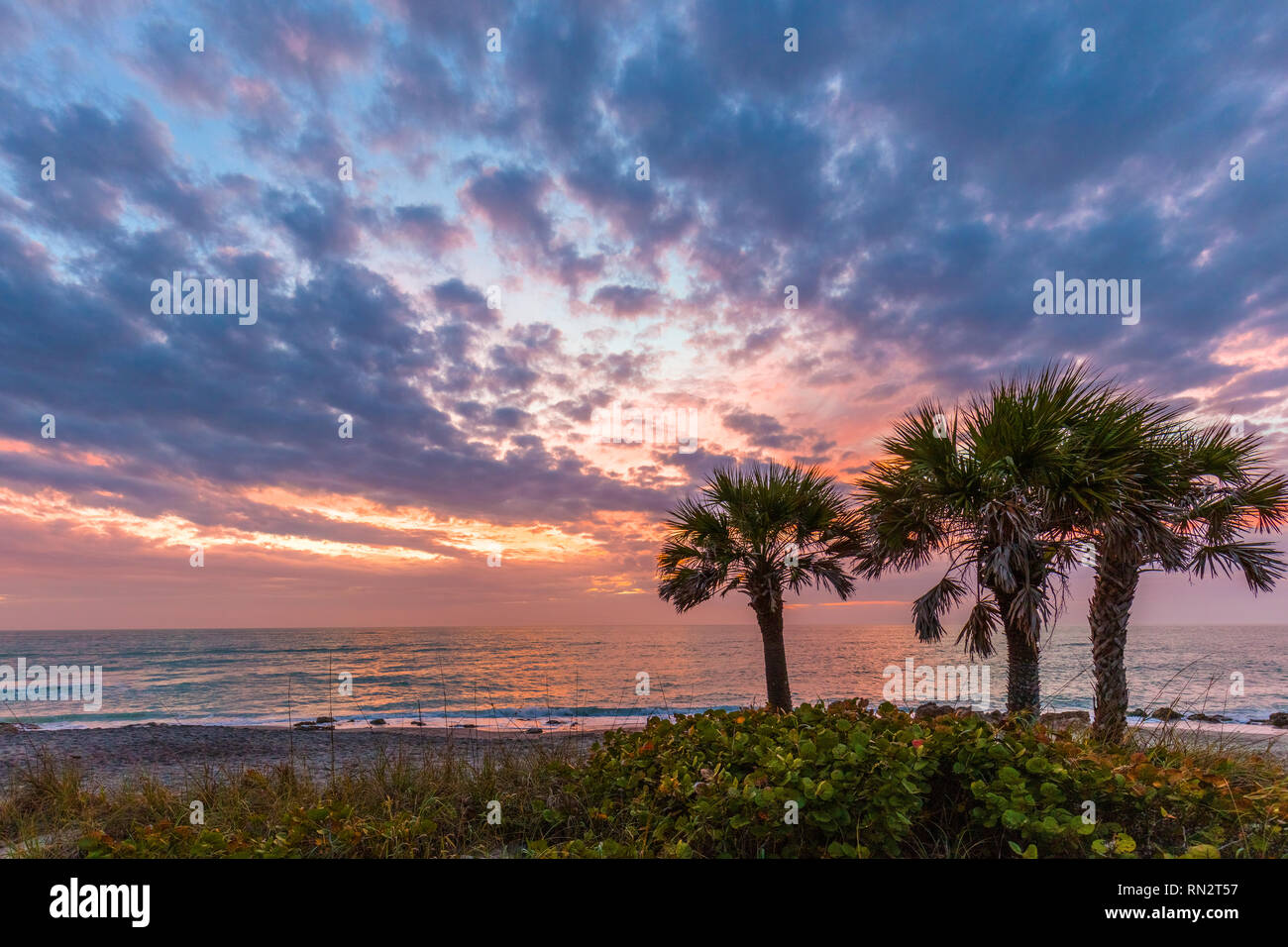 Sunset over Gulf of Mexico at Caspersen Beach in Venice Florida in the United States Stock Photo