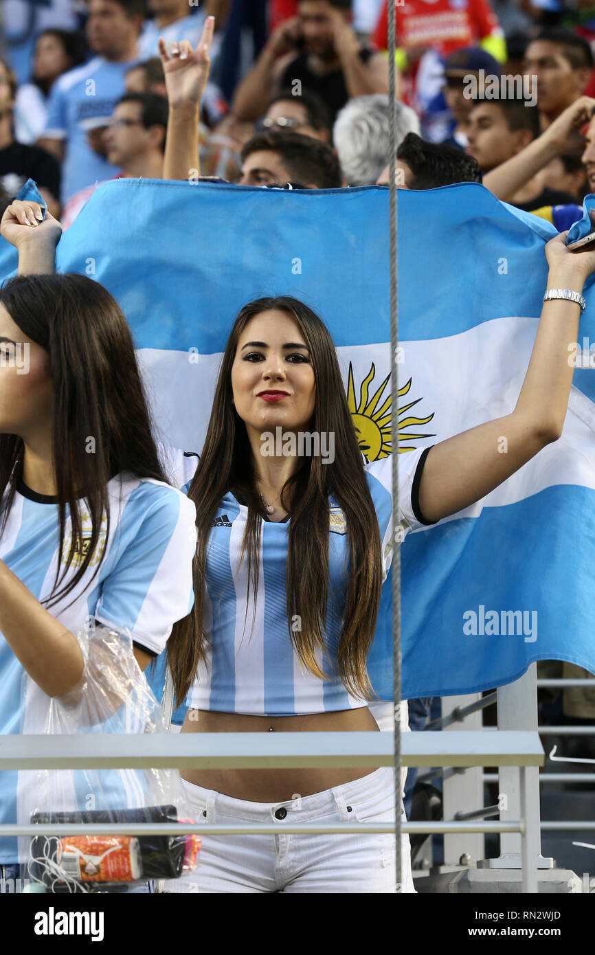 Argentina soccer fans at the Copa America 2016 played in United States  Stock Photo - Alamy
