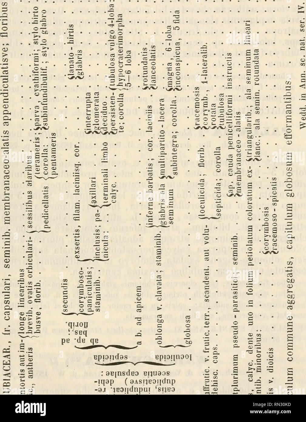 Annales Botanices Systematicae Plants Classification Rubiaceae 121 T 3 O 00 C Co 1 I Co O Oi Co 1 Ro C Co M Co C I X 3