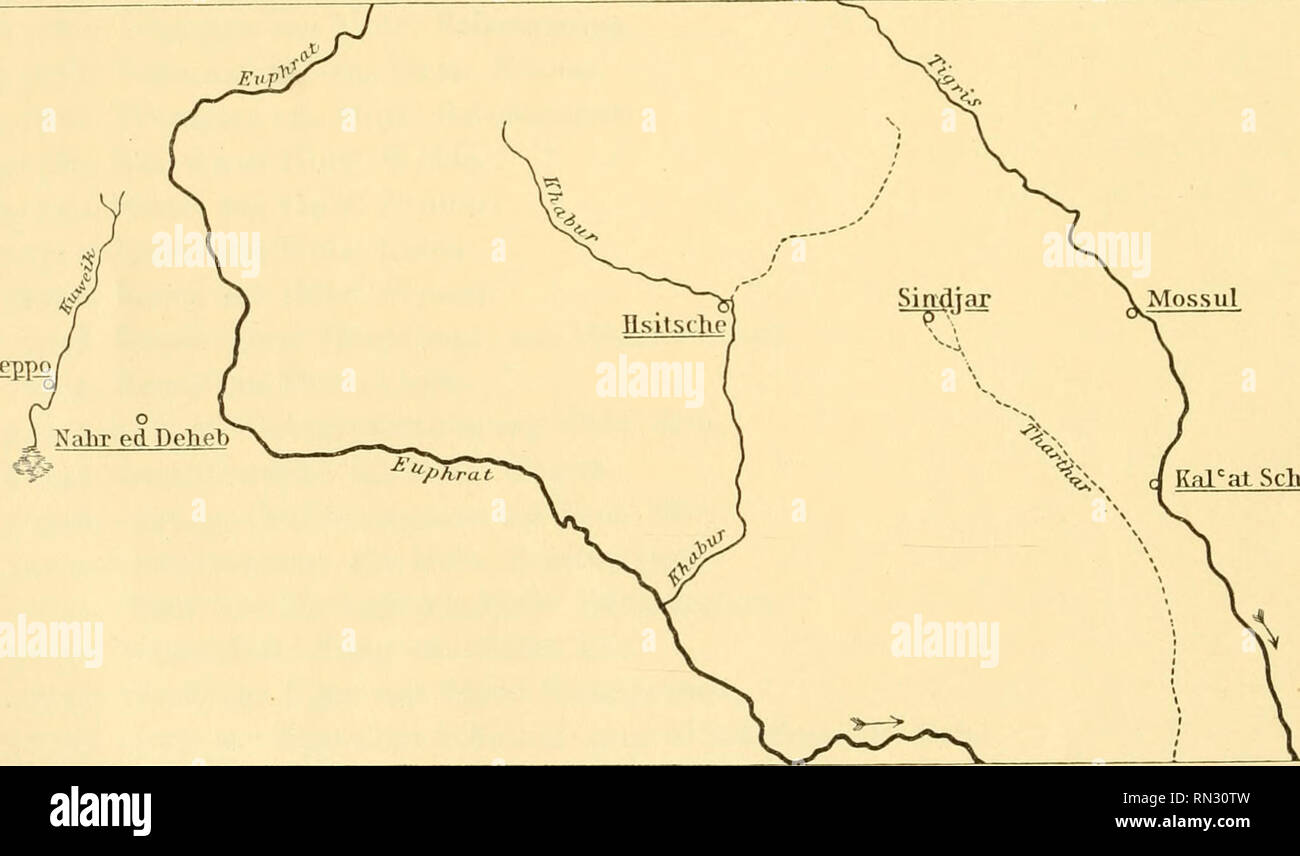 . Annalen des Naturhistorischen Museums in Wien. Naturhistorisches Museum (Austria); Natural history. Wissenschaftliche Ergebnisse der Expedition nach Mesopotamien. Crustaceen. II. und III. Teil. Von Dr. Otto Pesta (Wien). Mit 15 Abbildungen und i Karte im Texte. II. Teil: Decapoden aus Mesopotamien. Aus der Gruppe der Decapoden sind es naturgemäß nur wenige Formen, welche Dr. V. Pietschmann an einzelnen Hauptpunkten seiner Reise durch Mesopotamien bis zum Golf von Persien aufsammeln konnte. Besondere Beachtung verdienen die Fundorte, die einerseits eine gute Übersicht über die Verbreitung ein Stock Photo