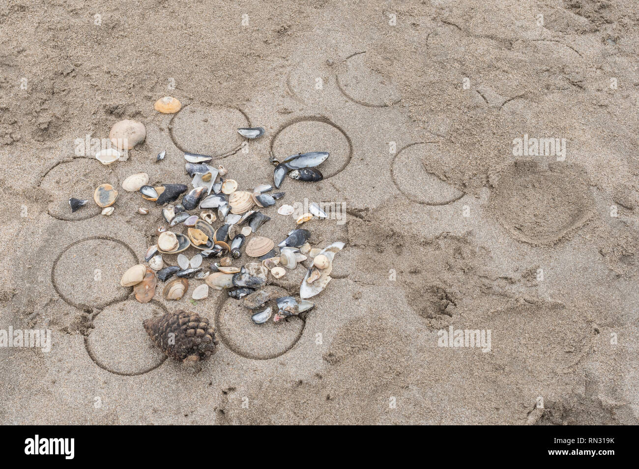 Traces of kids at play on sandy beach - circles from bucket and collection of seashells. Metaphor circles abstract, rings abstract. Stock Photo