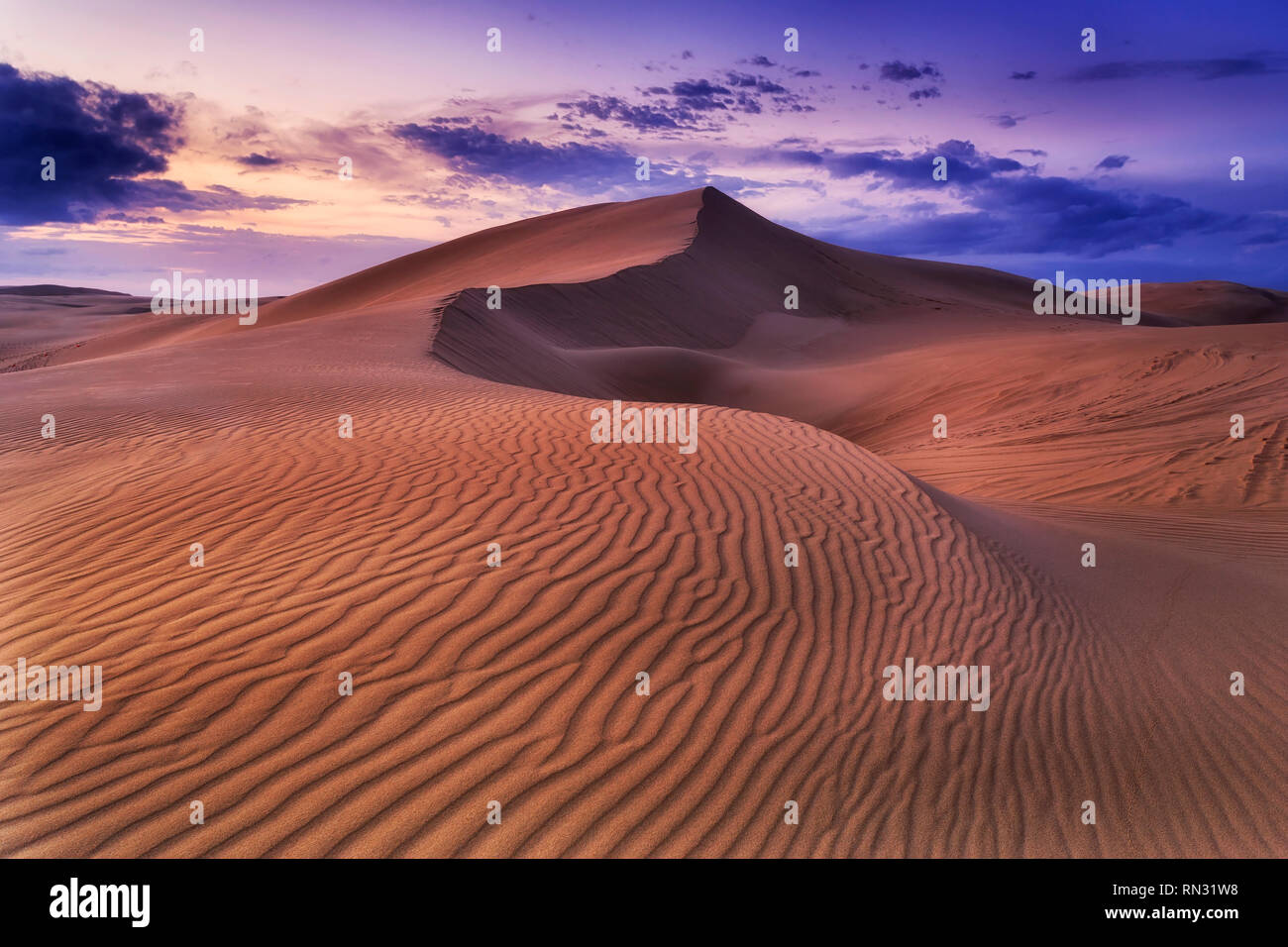 Remote empty lifeless sand desert at sunrise under dark cloudy sky with wind eroded pattern on dunes surface forming land waves. Stock Photo