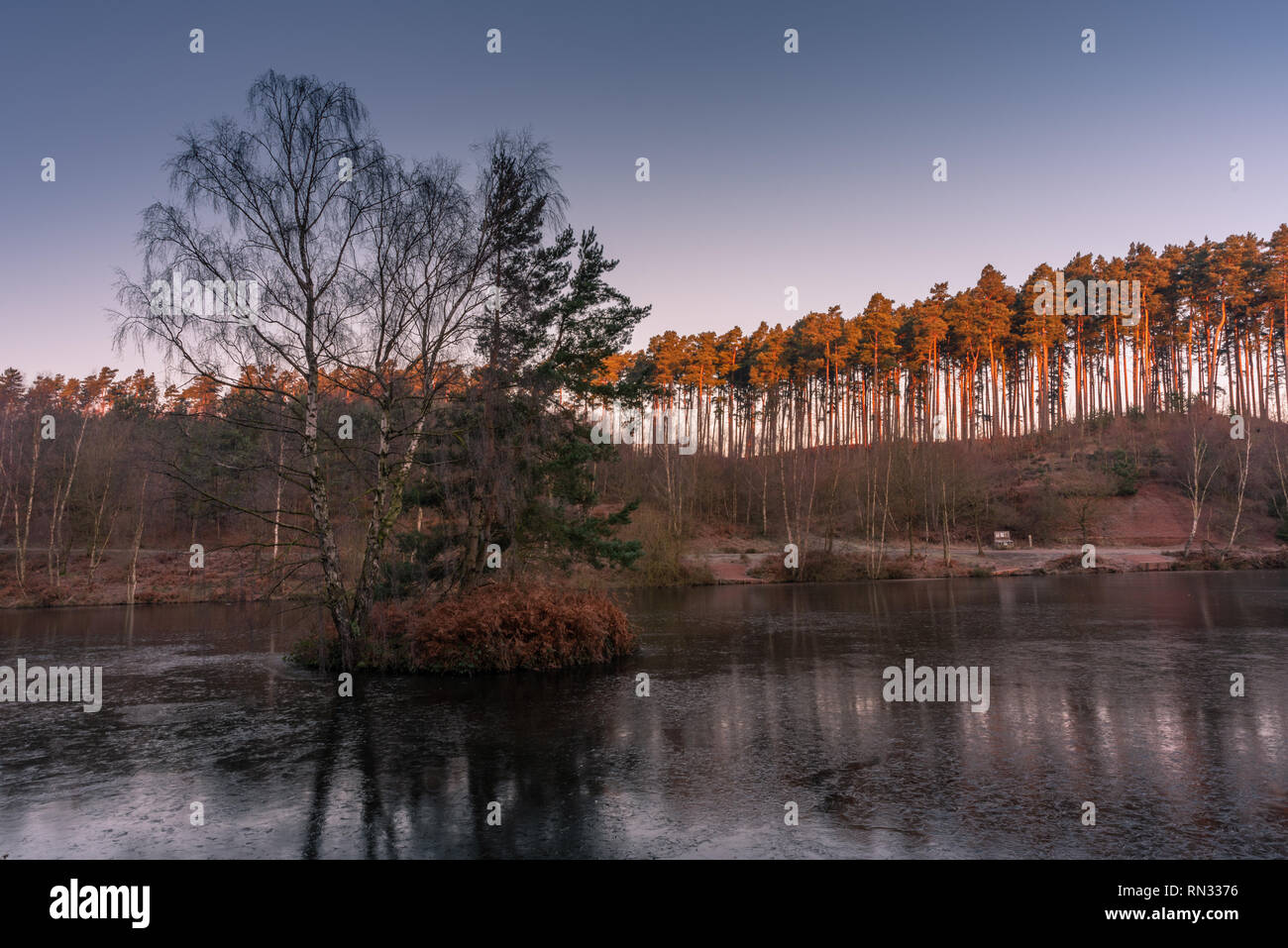 The woods and shoreline of the fishing lakes at Cannock Chase, AONB in