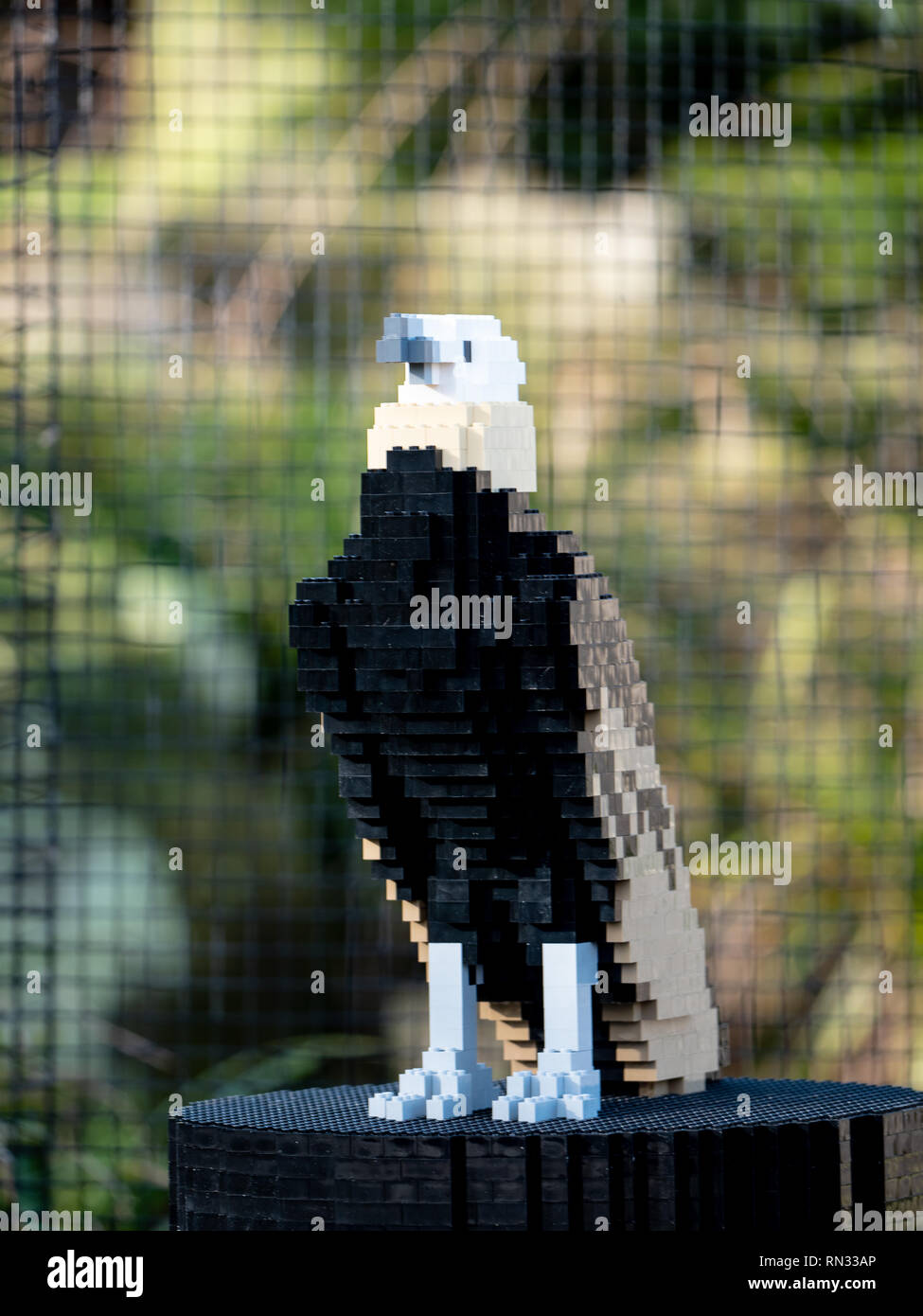 Eurasian Vulture model, part of the Lego Brick Trail at Chester Zoo Stock Photo