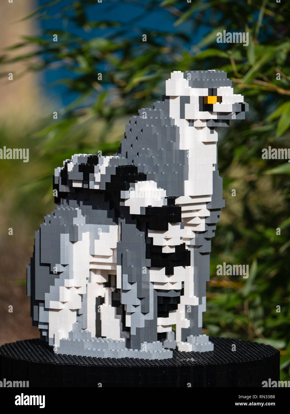 Ring-tailed lemur model, part of the Lego Brick Trail at Chester Zoo Stock Photo