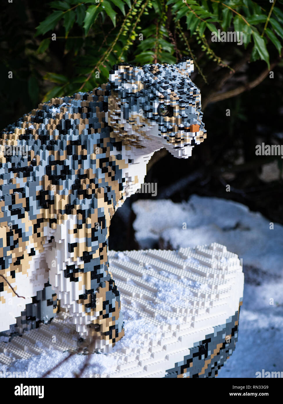 Snow leopard model, one of the lifesize Lego Big Cats at Chester Zoo Stock Photo