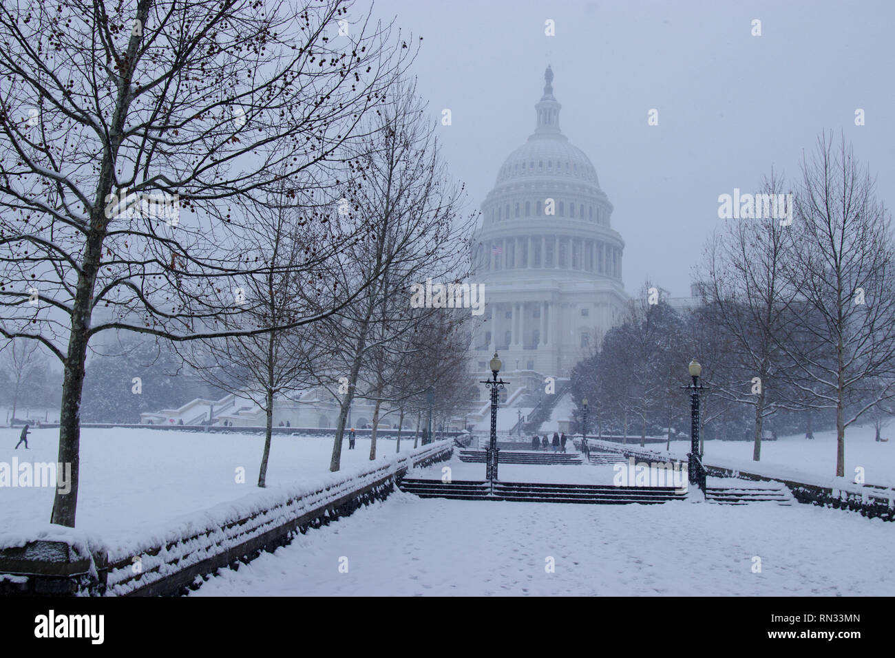 United States Capitol Building in Washington DC USA Stock Photo