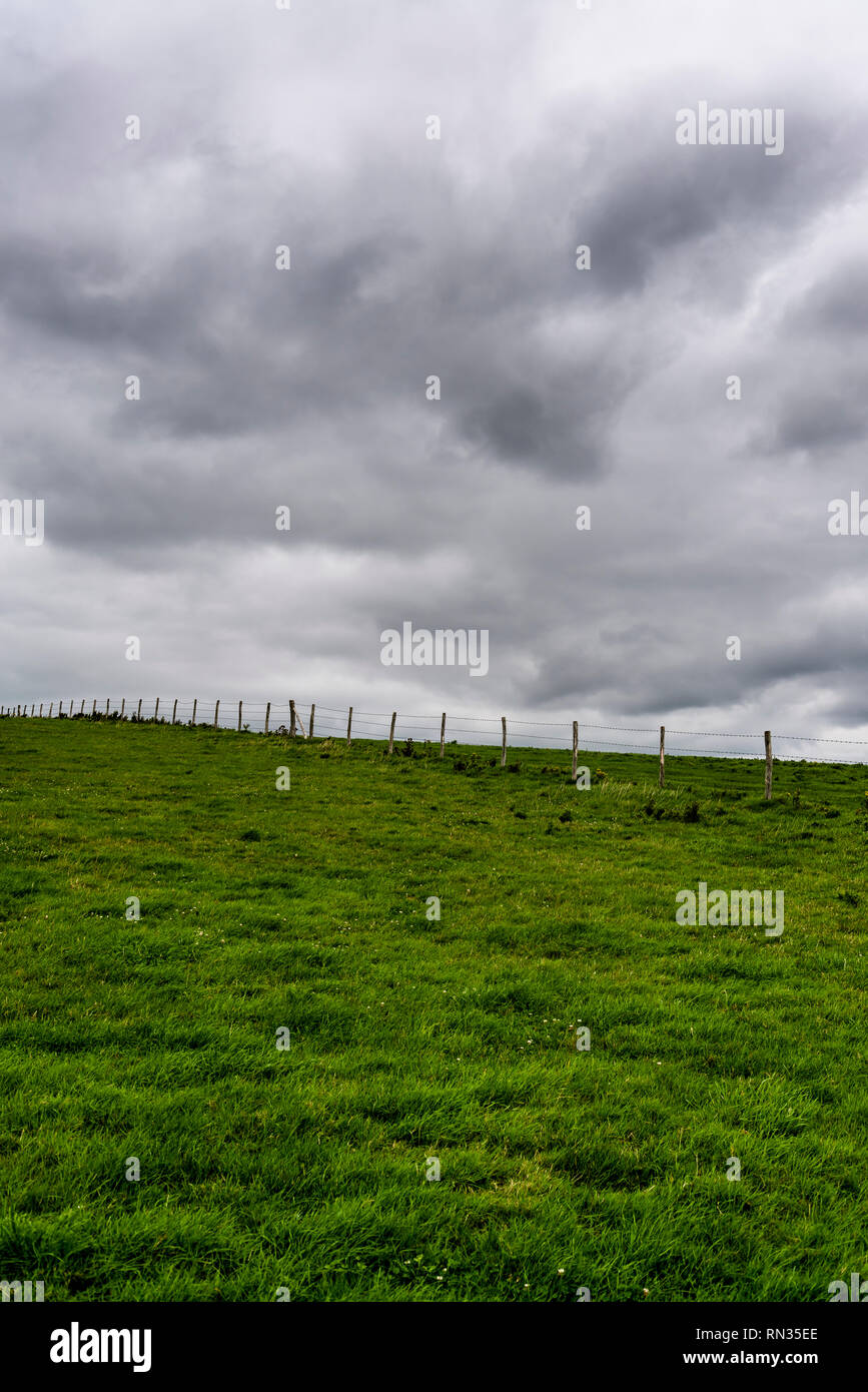 Fenced off fields on hill in East Sussex, England, UK Stock Photo - Alamy